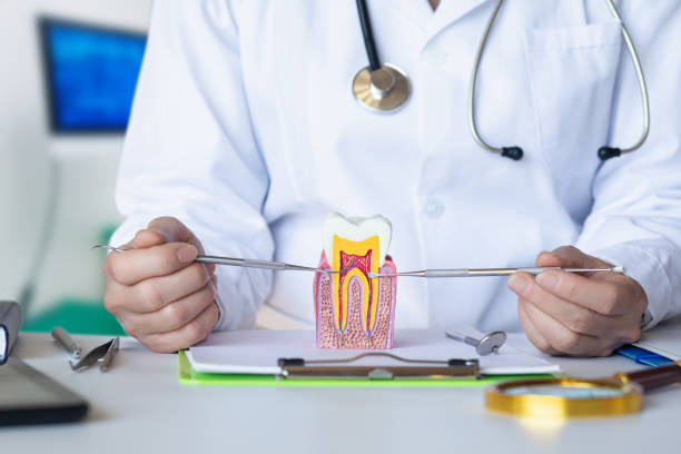 Best Knocked-Out Tooth (Avulsed Tooth) Treatment in Evergreen, CO